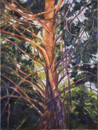 Creek Bottom Cedar by artist Tammy Brown